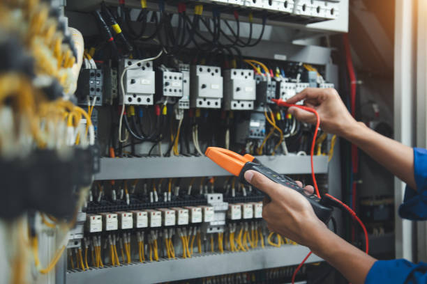 Best Electrician for Home Renovation  in Fritch, TX