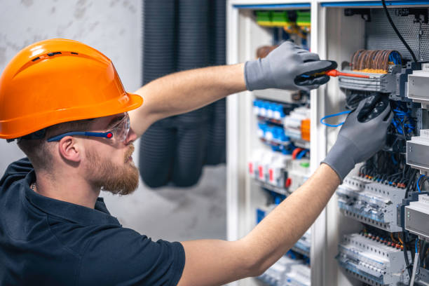 Best Home Electrical Repair  in Fritch, TX